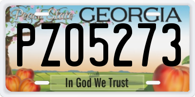 GA license plate PZO5273