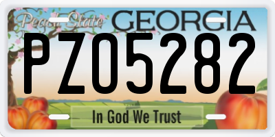 GA license plate PZO5282