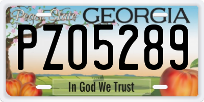 GA license plate PZO5289