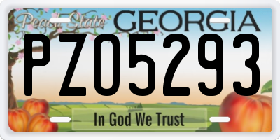 GA license plate PZO5293