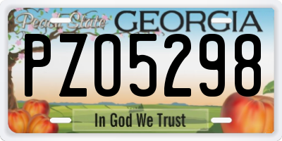 GA license plate PZO5298