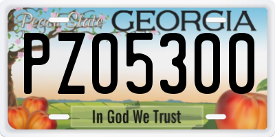 GA license plate PZO5300