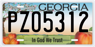 GA license plate PZO5312