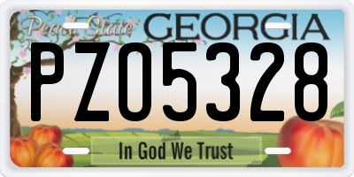 GA license plate PZO5328