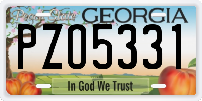 GA license plate PZO5331