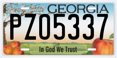 GA license plate PZO5337