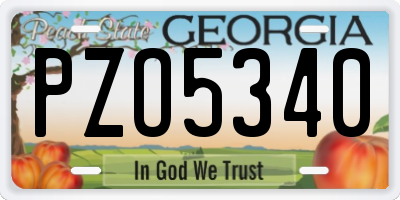 GA license plate PZO5340
