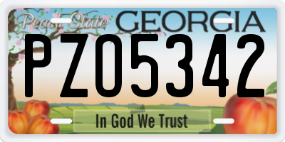 GA license plate PZO5342
