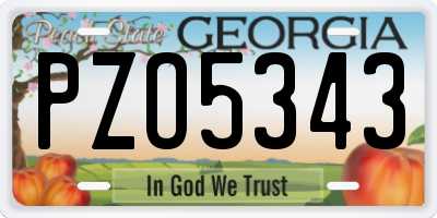 GA license plate PZO5343