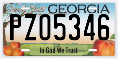 GA license plate PZO5346