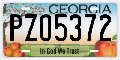 GA license plate PZO5372