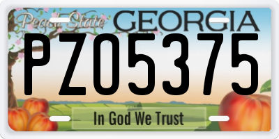 GA license plate PZO5375