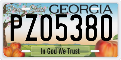 GA license plate PZO5380