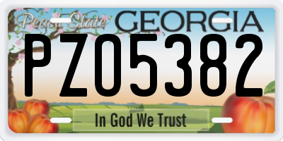GA license plate PZO5382