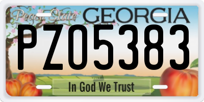 GA license plate PZO5383