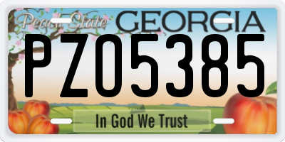 GA license plate PZO5385