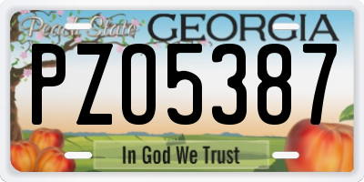 GA license plate PZO5387