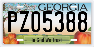GA license plate PZO5388
