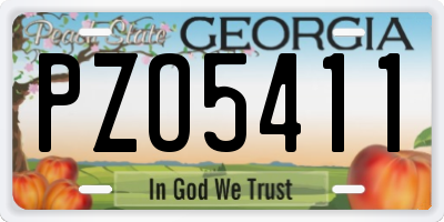 GA license plate PZO5411