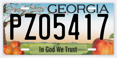 GA license plate PZO5417
