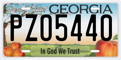GA license plate PZO5440