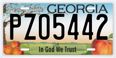 GA license plate PZO5442