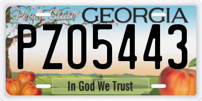 GA license plate PZO5443