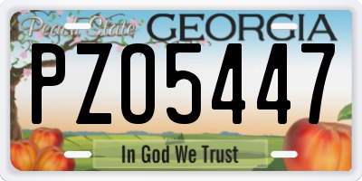 GA license plate PZO5447