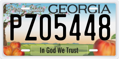 GA license plate PZO5448