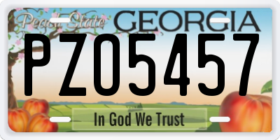 GA license plate PZO5457