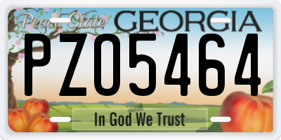 GA license plate PZO5464