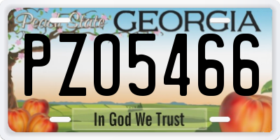 GA license plate PZO5466