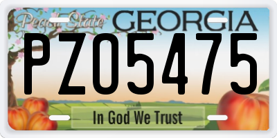 GA license plate PZO5475