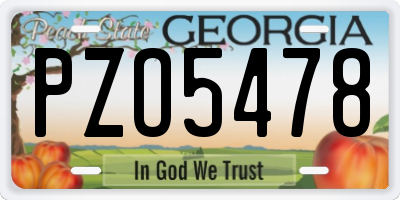 GA license plate PZO5478