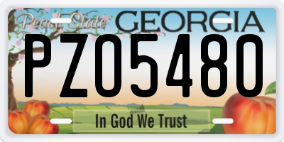 GA license plate PZO5480