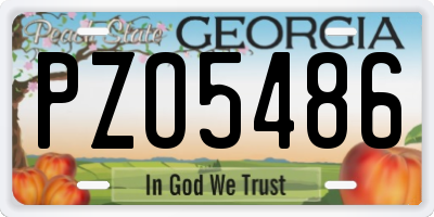 GA license plate PZO5486