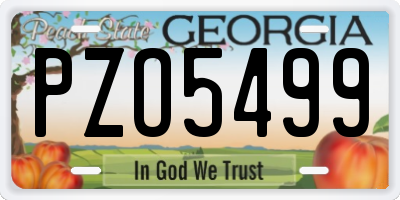 GA license plate PZO5499