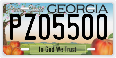 GA license plate PZO5500