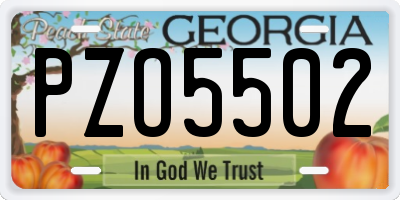 GA license plate PZO5502