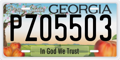 GA license plate PZO5503