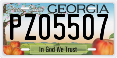 GA license plate PZO5507