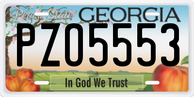 GA license plate PZO5553