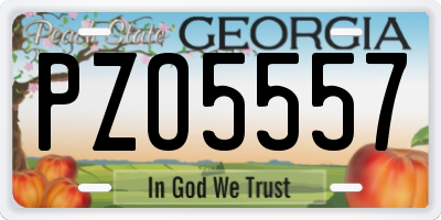 GA license plate PZO5557