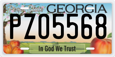 GA license plate PZO5568