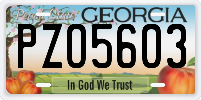 GA license plate PZO5603