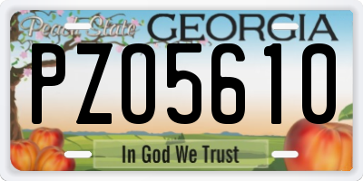 GA license plate PZO5610