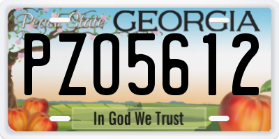 GA license plate PZO5612