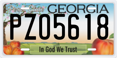GA license plate PZO5618