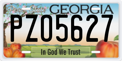 GA license plate PZO5627