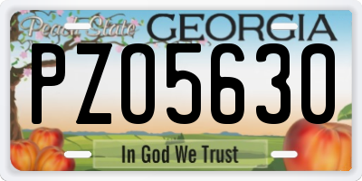 GA license plate PZO5630